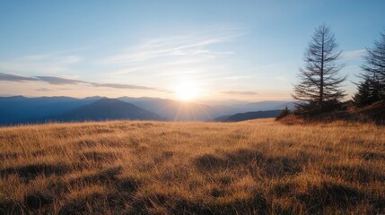 Obraz premium Golden hour sunset over a vast mountain range, viewed from a high grassy field with a solitary coniferous tree silhouetted against the vibrant sky. : Generative AI