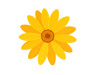 Vibrant yellow flower with detailed center