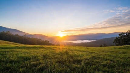 Fototapeta premium Sunrise over a tranquil valley, golden light illuminating lush green pasture and distant misty mountains. Peaceful dawn scene. : Generative AI