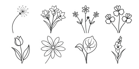Vector set flowers illustration. Flowers outline with leaves in black isolated on white background. Floral Collection.