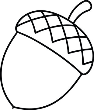 black and white acorn outline clip art preview