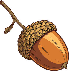 acorn icon Oak nut Oak seed Oak apple Vector illustration © IshratJahan