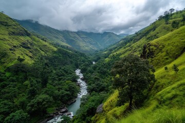 Fototapeta premium Lush green valley with a meandering river, rejuvenation