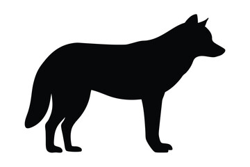 Obraz premium Black silhouette vector of a wolf standing on white background, minimalist vector illustration