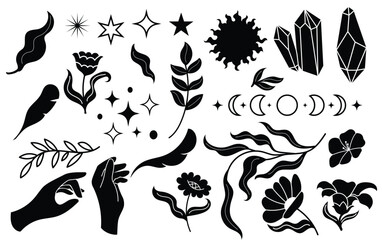 Celestial gaden, magic flower, vector illustration