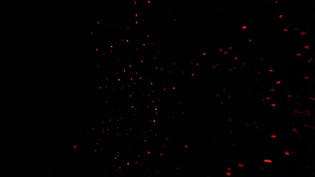 Abstract motion of red bubbles on a black background, glowing particles create a dynamic visual effect