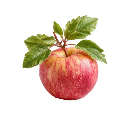[Transparent Background PNG]Fresh Red and Yellow Apple with Leaves
