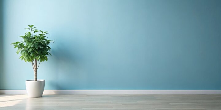 Serene Minimalist Interior  A Single Plant in a White Pot Against a Light Blue Wall