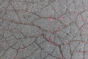 Obraz premium Cracks in the asphalt as a background. Close-up.