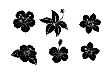 Hibiscus Silhouette Vector Set Tropical Flower Design