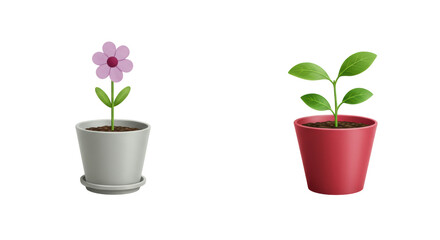 Obraz premium Isolated Potted Plants