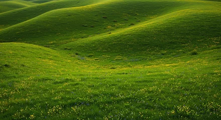Fototapete Green rolling hills scenic landscape nature meadow © detiyy