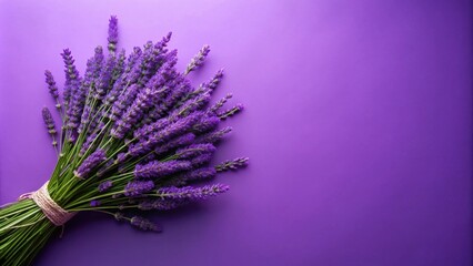 A fragrant bouquet of lavender blossoms rests on a vibrant purple background, showcasing its delicate purple hues and natural beauty.
