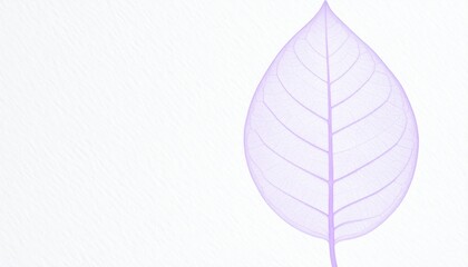 Delicate leaf close-up nature photography minimalist macro organic beauty