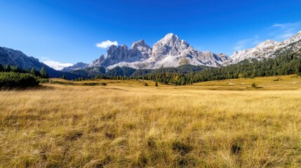 Fototapeta premium Majestic mountain range viewed from a golden meadow under a vibrant blue sky, showcasing the serene beauty of nature's landscape. : Generative AI