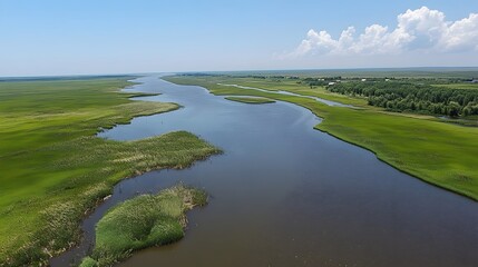 Aerial View Serene River Winding Through Lush Green Marshlands