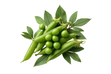 [Transparent Background PNG]Fresh Green Peas and Leaves Composition