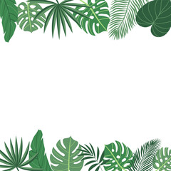 Obraz premium Tropical plant leaves summer backgruonds. Modern botanical illustration of monstera, palm leaf, banana leaf hibiscus. Vector leaves with playful vibrant colors.