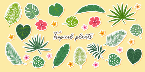 Tropical plant leaves stickers llustration set. Modern botanical illustration of monstera, palm leaf, banana leaf hibiscus. Vector leaves with playful vibrant colors.