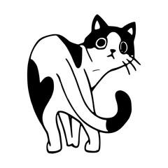 curious black and white cat vector