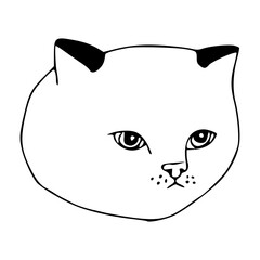 stylized kitten face line art