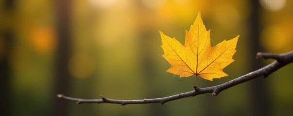 Solitary yellow leaf clings to bare branch, autumnal bokeh background , fragility, autumn