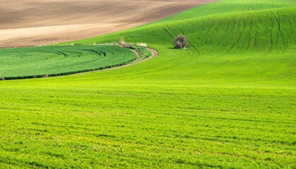 Obraz premium Lush green fields countryside landscape photography fertile environment panoramic view nature's serenity