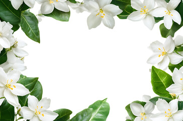 Obraz premium Floral frame with white flowers and green leaves