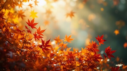 Golden Hour Fall Foliage Embrace