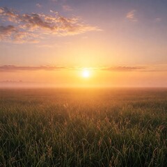 Fototapeta premium Sunrise Over Meadow with Lens Flare