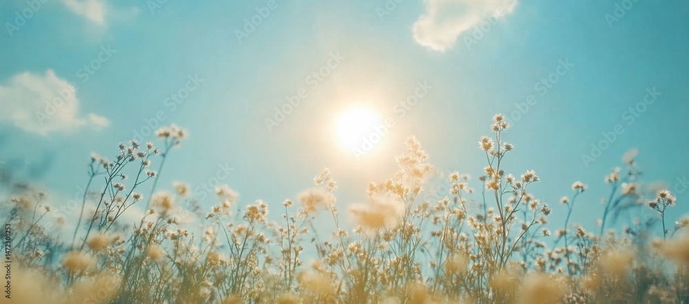 Poster sunlit meadow with delicate wildflowers reaching towards a bright summer sky, creating a serene and 