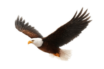 Fototapeta premium [Transparent Background PNG]Majestic Bald Eagle Soaring High in the Sky