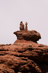 Yadan Grand Canyon in Alashan, Inner Mongolia, China