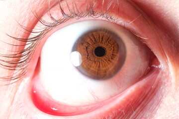 brown human eye
