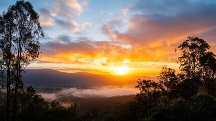 Vibrant sunrise paints the sky with fiery orange and gold hues, casting a warm glow over a misty valley nestled between silhouetted trees and distant mountains. : Generative AI