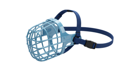 Isolated Dog Muzzle