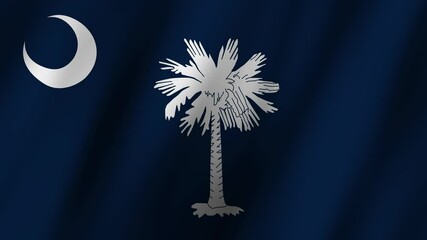 Discover the meaning behind the South Carolina flag and its significance to American history and freedom