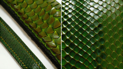 Closeup analysis of snake scales and leather belt textures in natural setting material comparison detail focus
