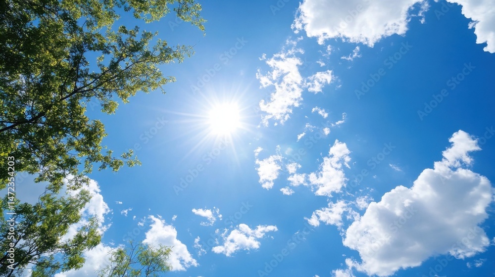 Aufkleber bright summer sun shining through fluffy white clouds and green tree branches, viewed from below. : 