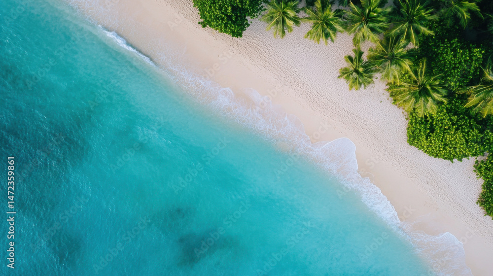 Poster aerial view of a pristine tropical beach with turquoise water lapping gently against white sand, bor