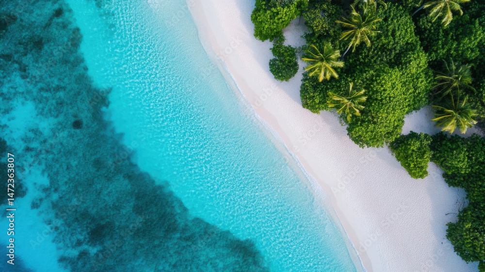 Aufkleber aerial view of a pristine tropical beach where turquoise water meets white sand and lush green palm 