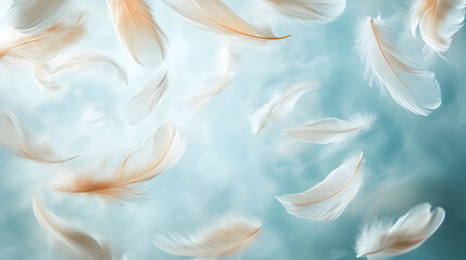 Soft Feathers Gently Floating on a Calm Blue Background