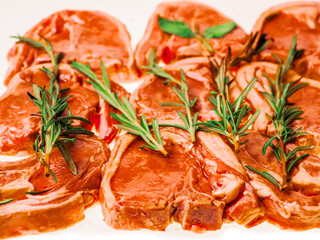 Premium quality marinated lamb loin chops and rosemary herb on white background. Uncooked raw meat on the bone in red color water based marinade to enhance dish taste.