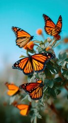 Butterflies resting on flowers in vibrant natural setting