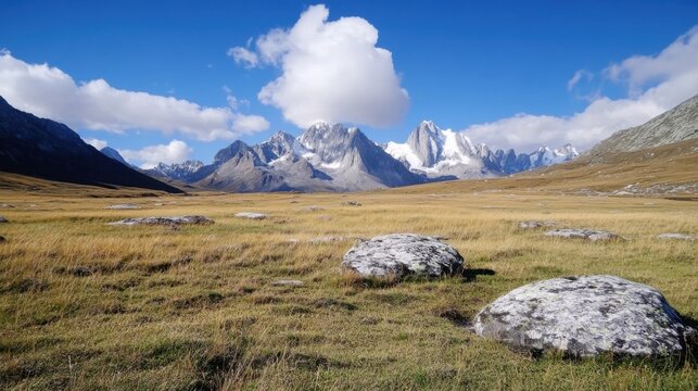 Serene mountain valley landscape with golden grass, large rocks, and a majestic snow-capped mountain range under a partly cloudy blue sky. : Generative AI