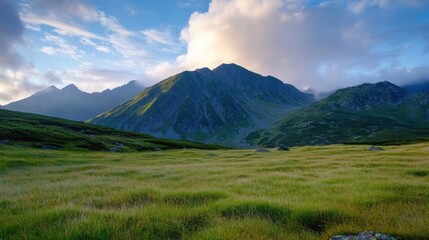 Fototapeta premium Serene mountain landscape at sunrise, showcasing a vast green meadow stretching towards majestic peaks under a partly cloudy sky. The scene evokes tranquility and the beauty of untouch : Generative AI
