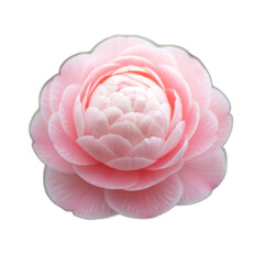 A delicate pink flower with layered petals showcasing intricate details, set against a neutral background, perfect for nature-themed designs or floral arrangements