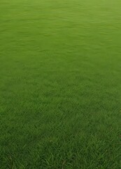 Panoramic shot of vibrant artificial grass field  , synthetic, color