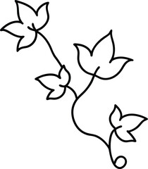 vector illustration of ivy vine