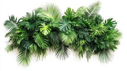 Lush tropical foliage arrangement, vibrant green leaves of various plants create a dense, natural wall decor, perfect for adding a touch of nature to any space. : Generative AI